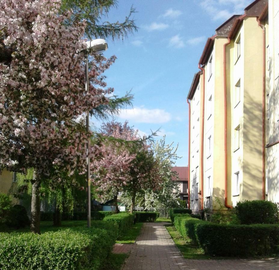 Ferienwohnung Apartament Jasminowy Bad Kudowa Exterior foto